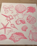 shells and bows
