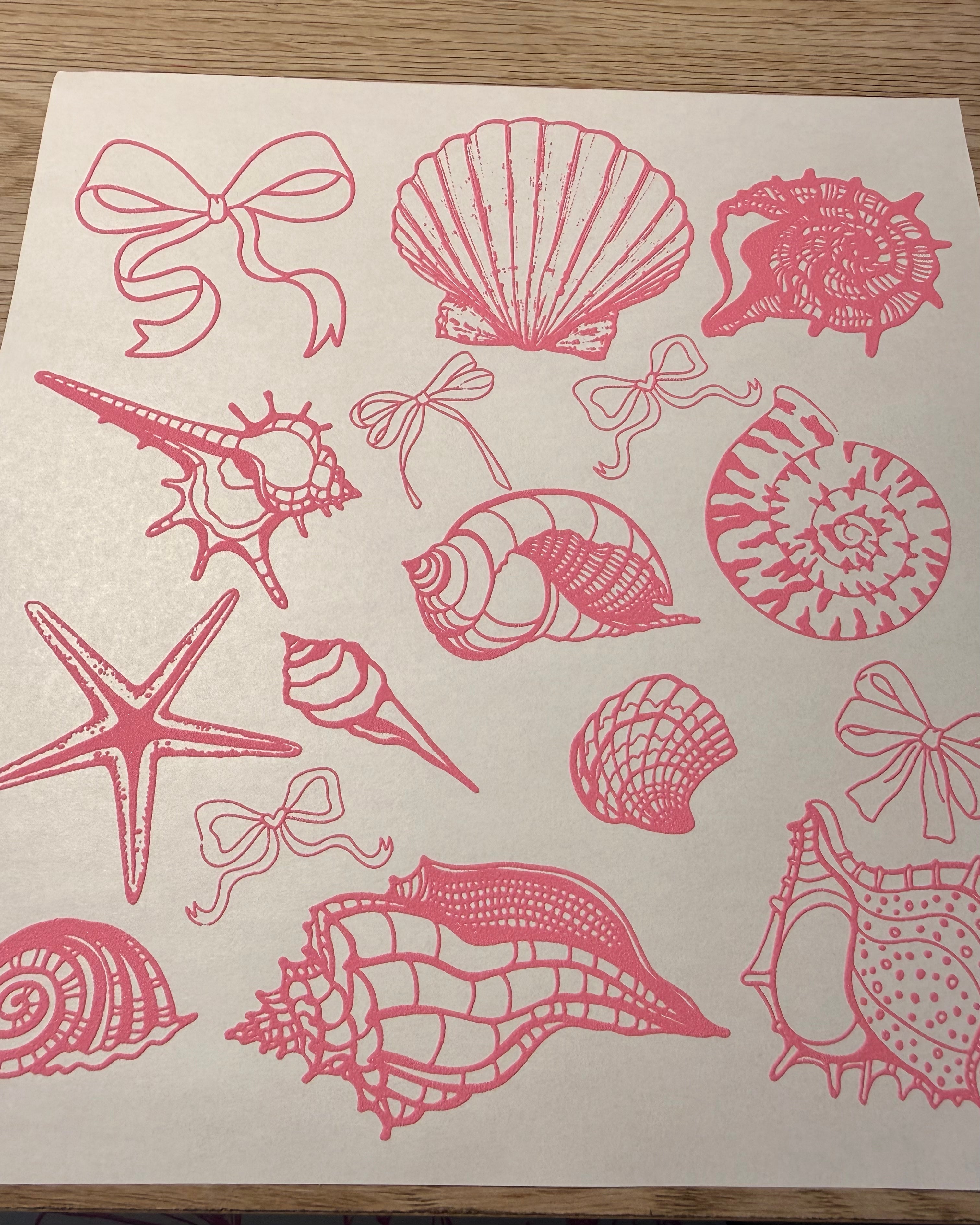 shells and bows